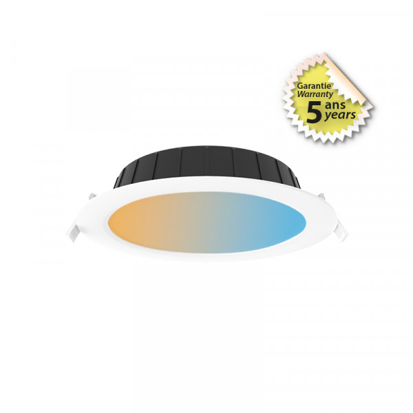 Cynius Downlight 21W Cct 3000K-4000K-6500K Dim Dali/Push Bbc Ip65 5Ans
