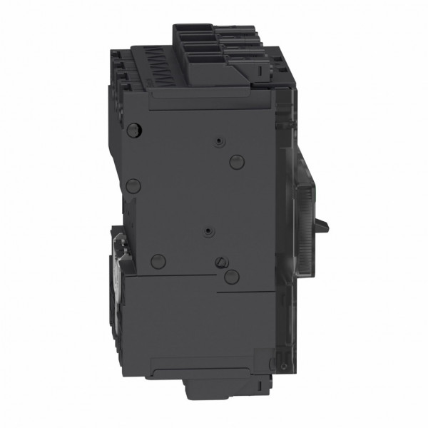 PowerPact B - disjoncteur - thermique-magnétique - déclencheur TM-D 35A - 4P 4t - code pdc D - commande par maneton - bornes Everlink - HLP : 137x108x80mm - larg. 12 pas de 9 mm - visuel 3