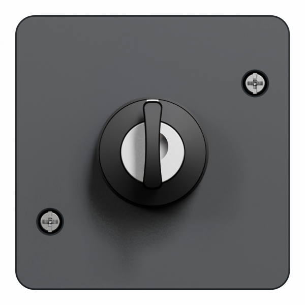 Mureva Styl - Interrupteur à clé 3 positions - composable - IP55 - IK08 - gris (RAL 7016) - H71mmxL71mmxP72mm - tension d'alimentation : 230 V CA 50/60 Hz - retrait de la clé position milieu - visuel 2