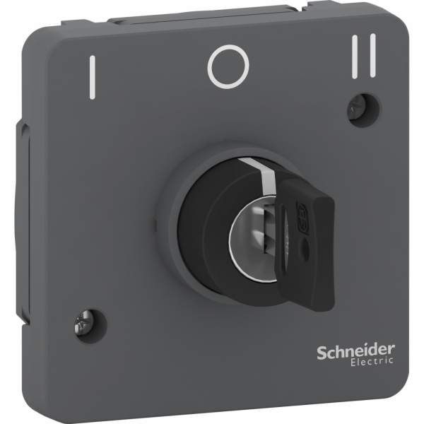 Mureva Styl - Interrupteur à clé 3 positions - composable - IP55 - IK08 - gris (RAL 7016) - H71mmxL71mmxP72mm - tension d'alimentation : 230 V CA 50/60 Hz - retrait de la clé position milieu - visuel 1
