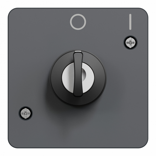 Mureva Styl - Interrupteur à clé 2 positions - composable - IP55 - IK08 - gris (RAL 7016) - H71mmxL71mmxP72mm - tension d'alimentation : 230 V CA 50/60 Hz - retrait de la clé position milieu - visuel 2