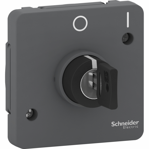 Mureva Styl - Interrupteur à clé 2 positions - composable - IP55 - IK08 - gris (RAL 7016) - H71mmxL71mmxP72mm - tension d'alimentation : 230 V CA 50/60 Hz - retrait de la clé position milieu - visuel 1