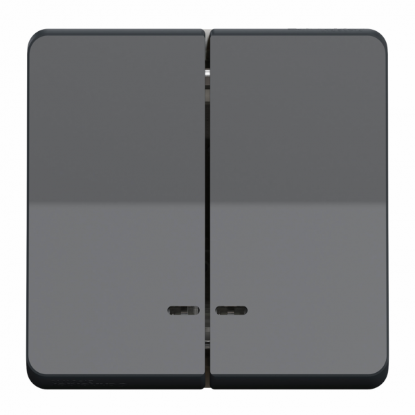 Mureva Styl - Mécanisme seul - bouton-poussoir lumineux double - LED bleu - 10 A - 250 V CA - gris RAL 7016 - CE | NF - IP55 - IK07 - Conso : 0,15 mA 250 V - auto-extinguible - visuel 1