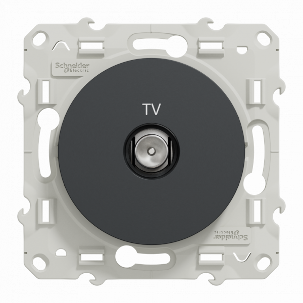 Odace - blindage TV simple - encastré - anthracite - TV : mâle IEC 9.52 mm - fixation par vis - livré avec cache de protection peinture - IK04 - IP21 D - sans halogène - visuel 1