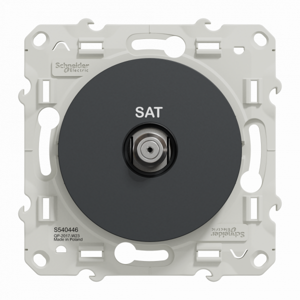 Odace - blindage simple SAT - encastré - anthracite - SAT : F type - fixation par vis - livré avec cache de protection peinture - IK04 - IP21 D - sans halogène - visuel 1