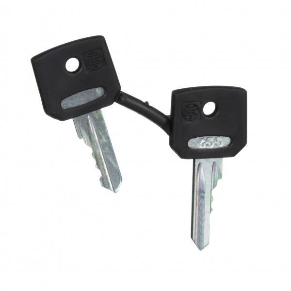 Harmony clé pour serrure - 455 - jeu de 2 - pour arrêt d'urgence, bouton-tournant - compatibilité de gamme : Harmony XB5, Harmony XB4 - visuel 1