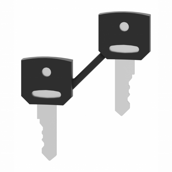 Harmony clé pour serrure - 421E - jeu de 2 - pour arrêt d'urgence, bouton-tournant - compatibilité de gamme : Harmony XB5, Harmony XB4 - visuel 1