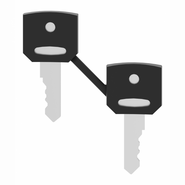 Harmony clé pour serrure - 421E - jeu de 2 - pour arrêt d'urgence, bouton-tournant - compatibilité de gamme : Harmony XB5, Harmony XB4 - visuel 2