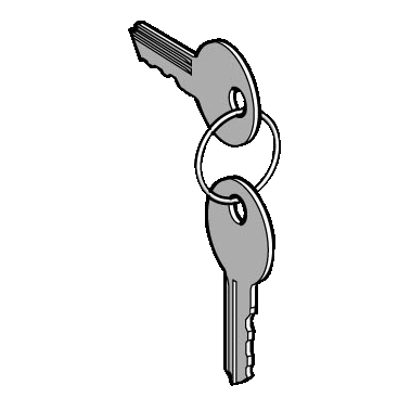 Harmony - clé pour serrure - 3131A - jeu de 2 - pour arrêt d'urgence, bouton-tournant - compatibilité de gamme : Harmony XB5, Harmony XB4 - visuel 1